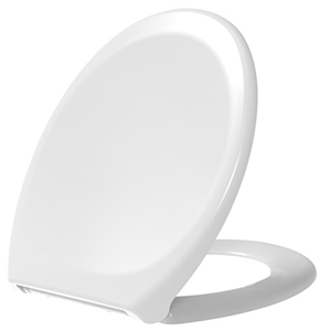 oval toilet seat