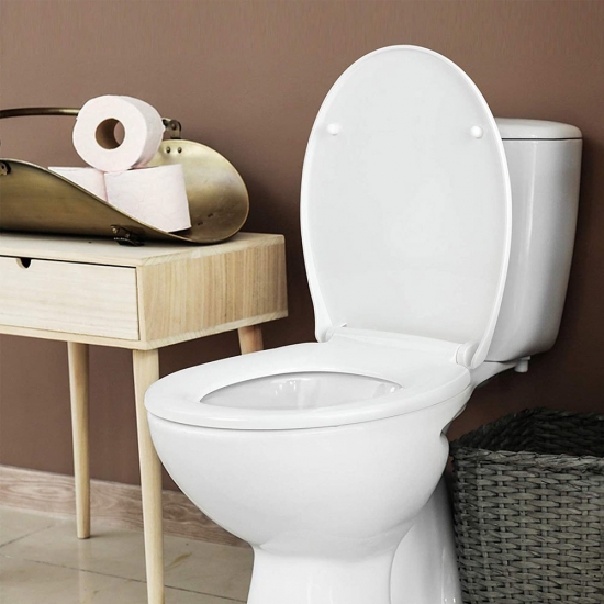 Oval toilet seat